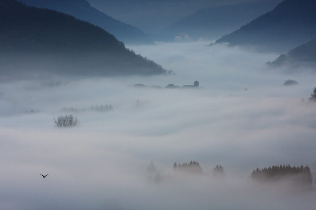 Jardiner avec mes nuages